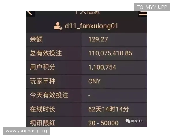 AG百家乐代理推广策略全攻略，提升用户转化率实现持续稳定的收入增长