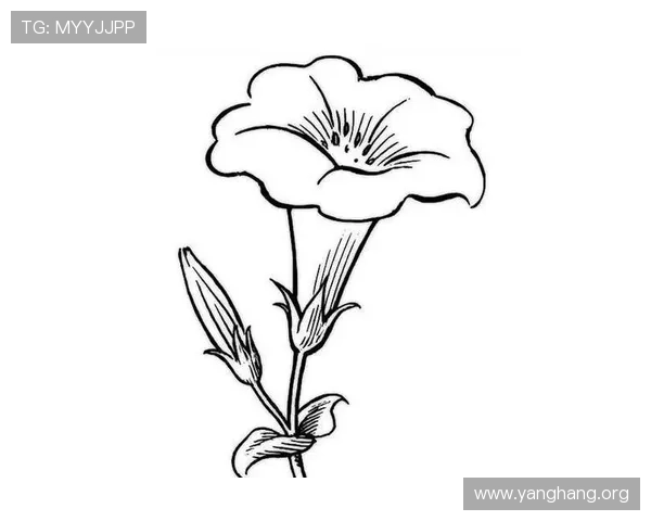 亚星登录管会员系统操作流程详解，快速注册登录提升游戏体验